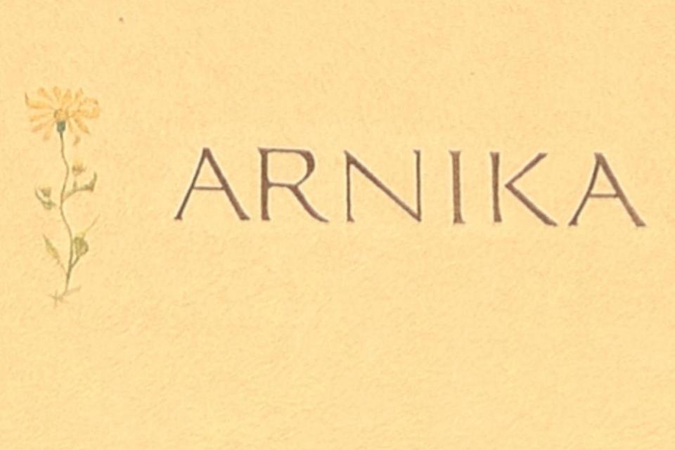 אוברסקסן Apartment Haus Arnika מראה חיצוני תמונה